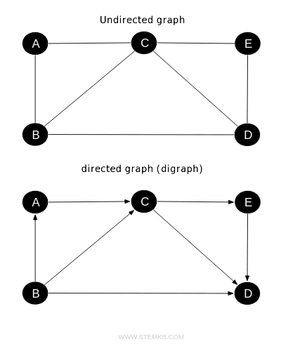 difference undirected and directed graph ( digraph )